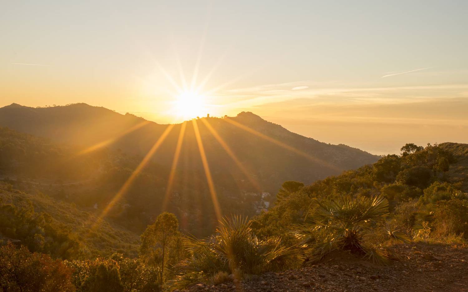 Sunrise